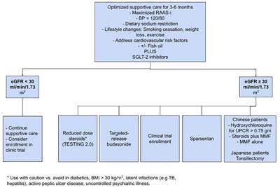 IgA nephropathy: a review of existing and emerging therapies